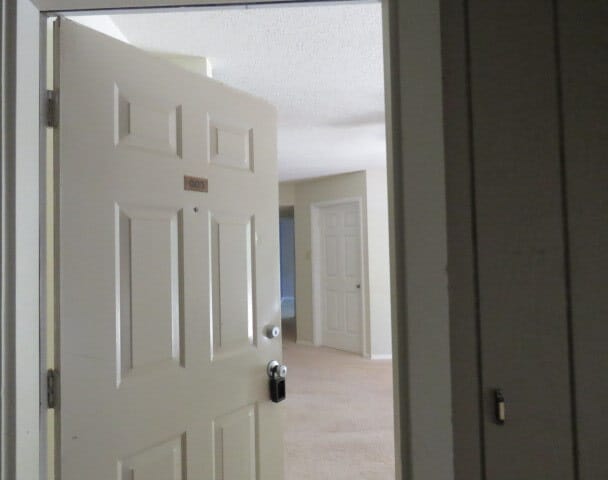 3803 Chimney Ridge Place