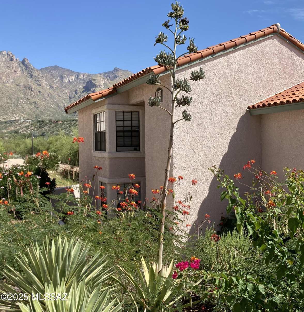 6500 N Tierra de las Catalinas