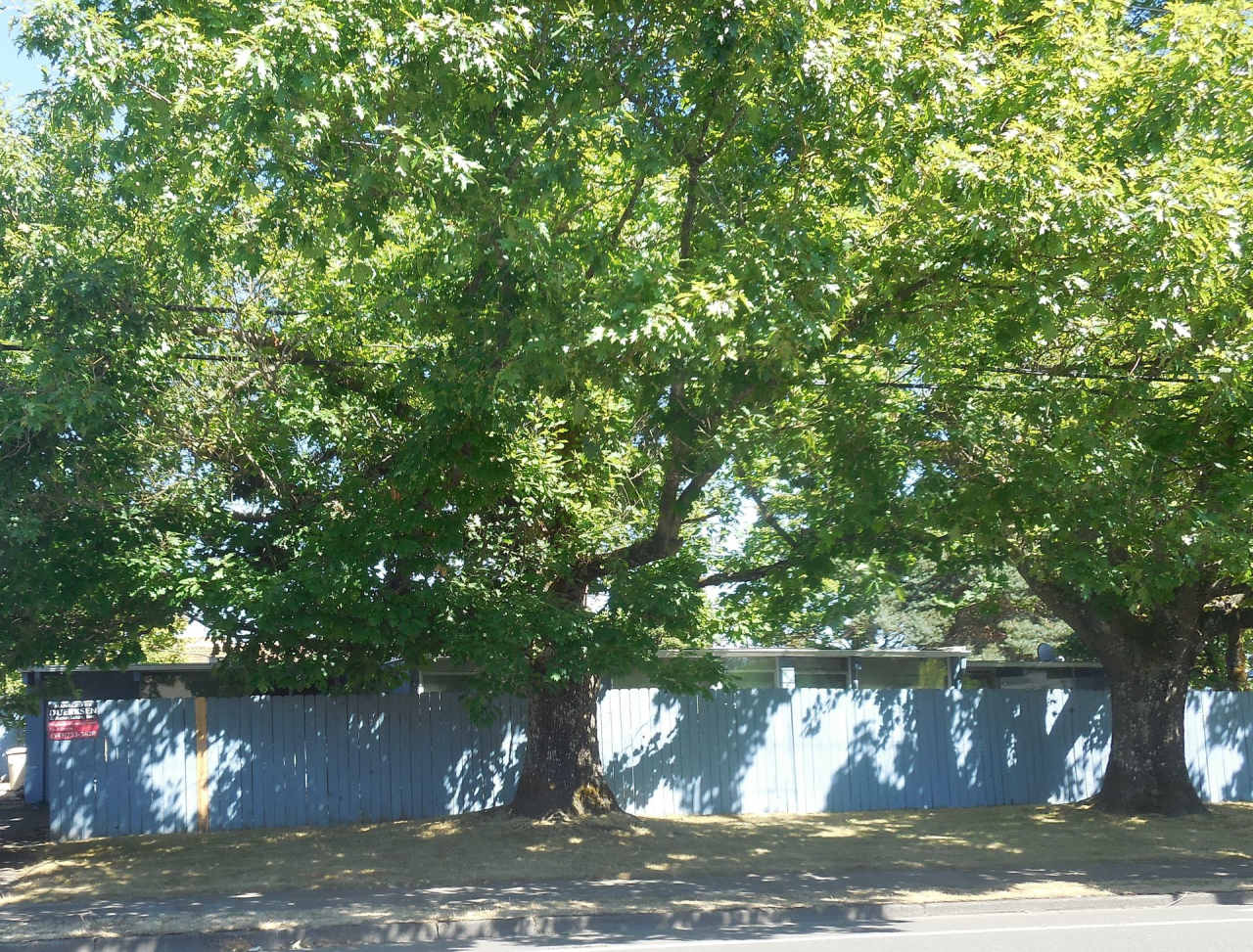 1 Bedroom Duplex ~ Close to 9th St ~ Small Pet Friendly