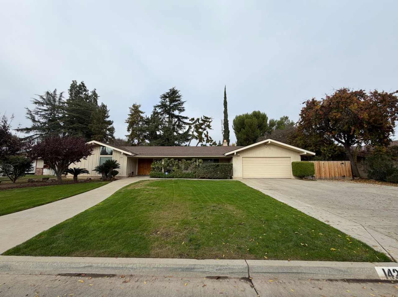 1428 W. Calimyrna Ave