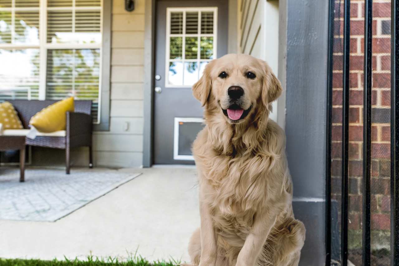 Dane Park North Garland