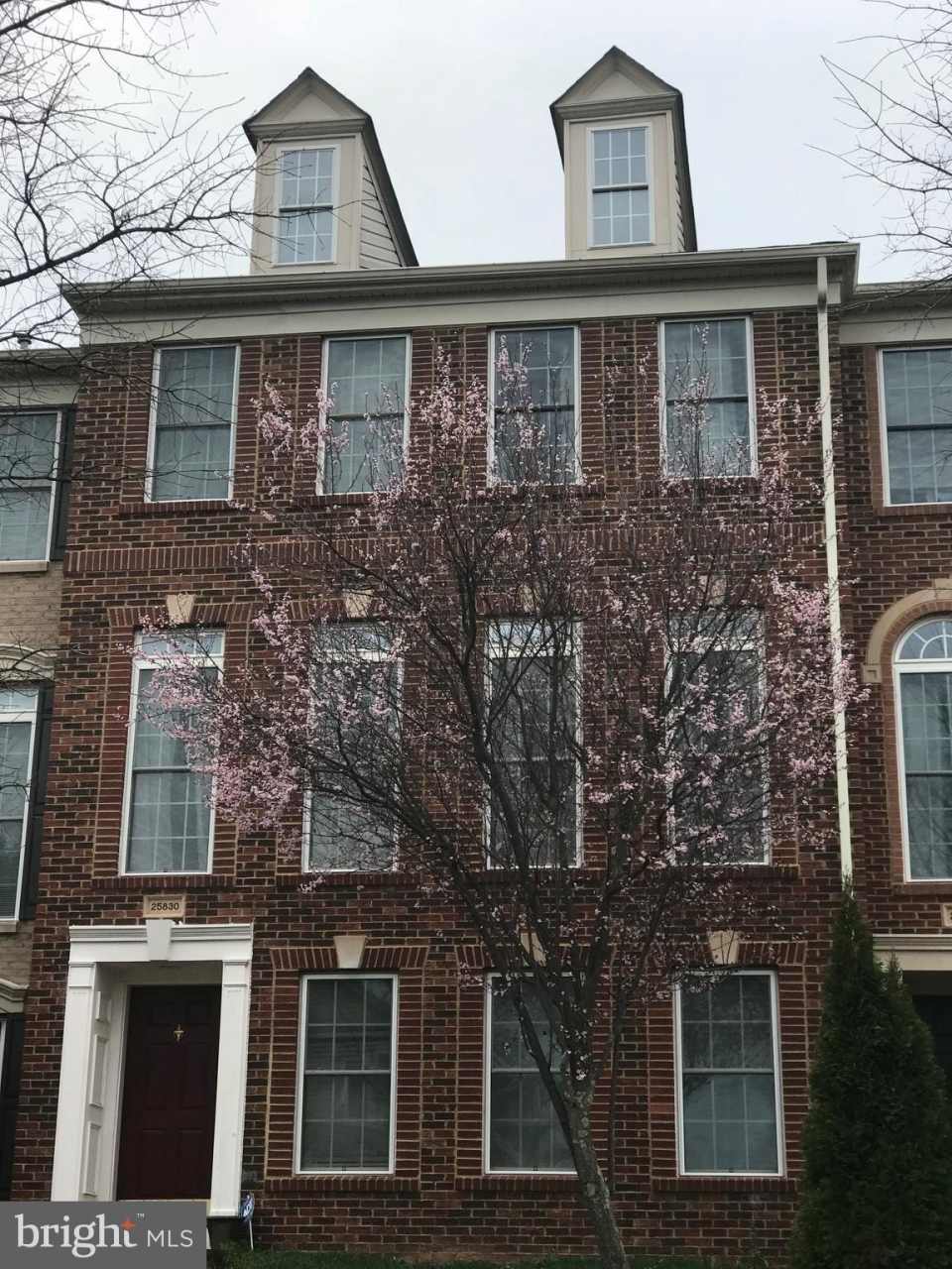 25830 TURLOUGH Terrace