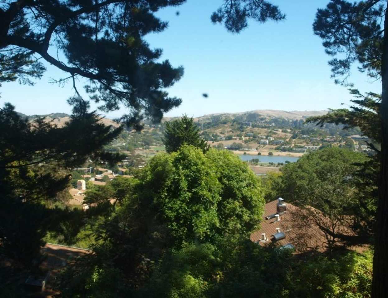 Pet Friendly Mill Valley Home w/ Hardwood floors and View