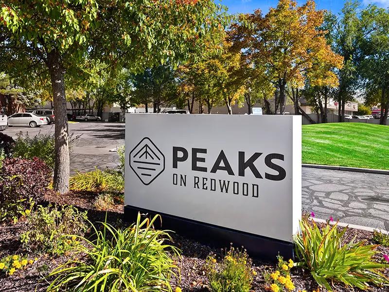 Peaks on Redwood