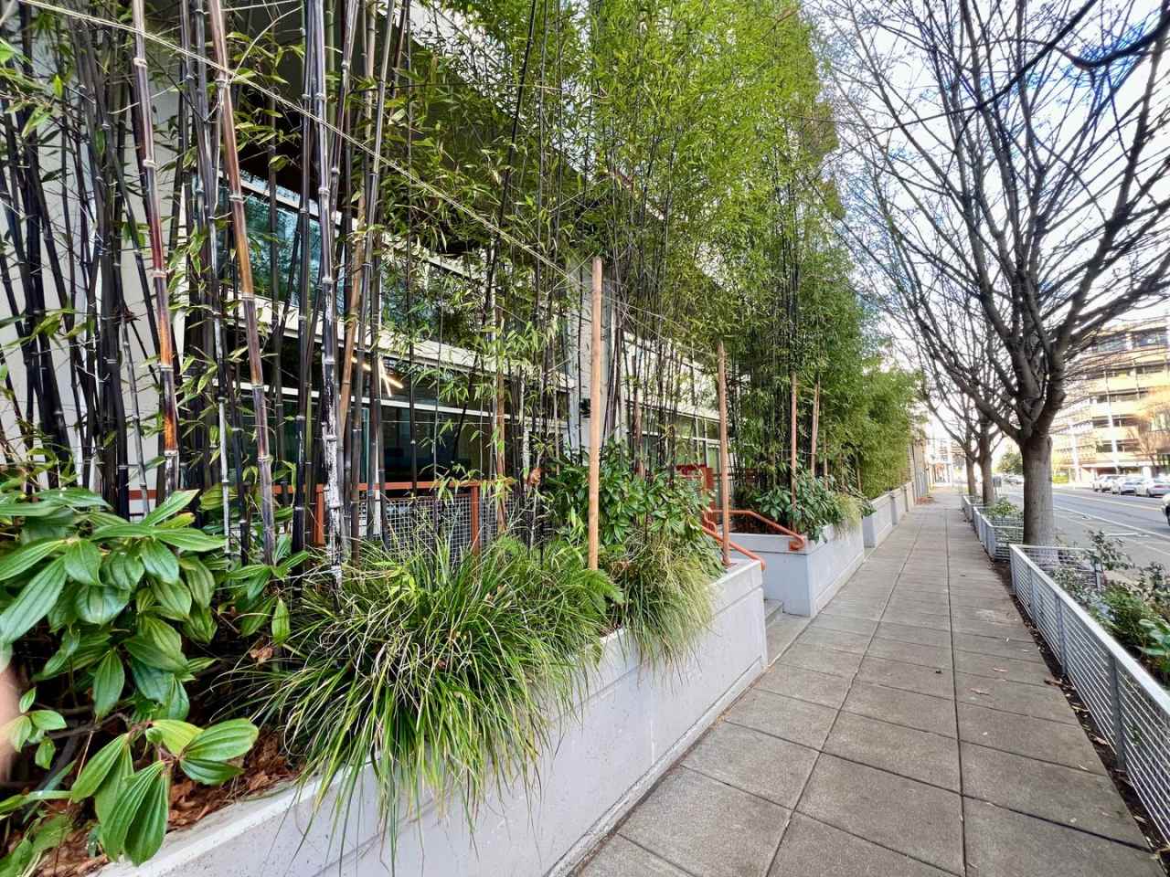 Veer Lofts Condominiums - South Lake Union