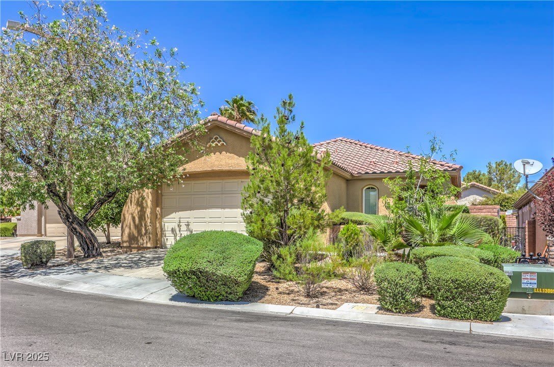 10964 Snow Cloud Court