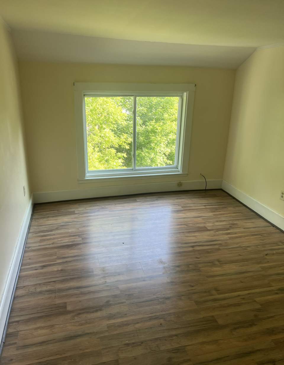 427 Essex St Unit 3