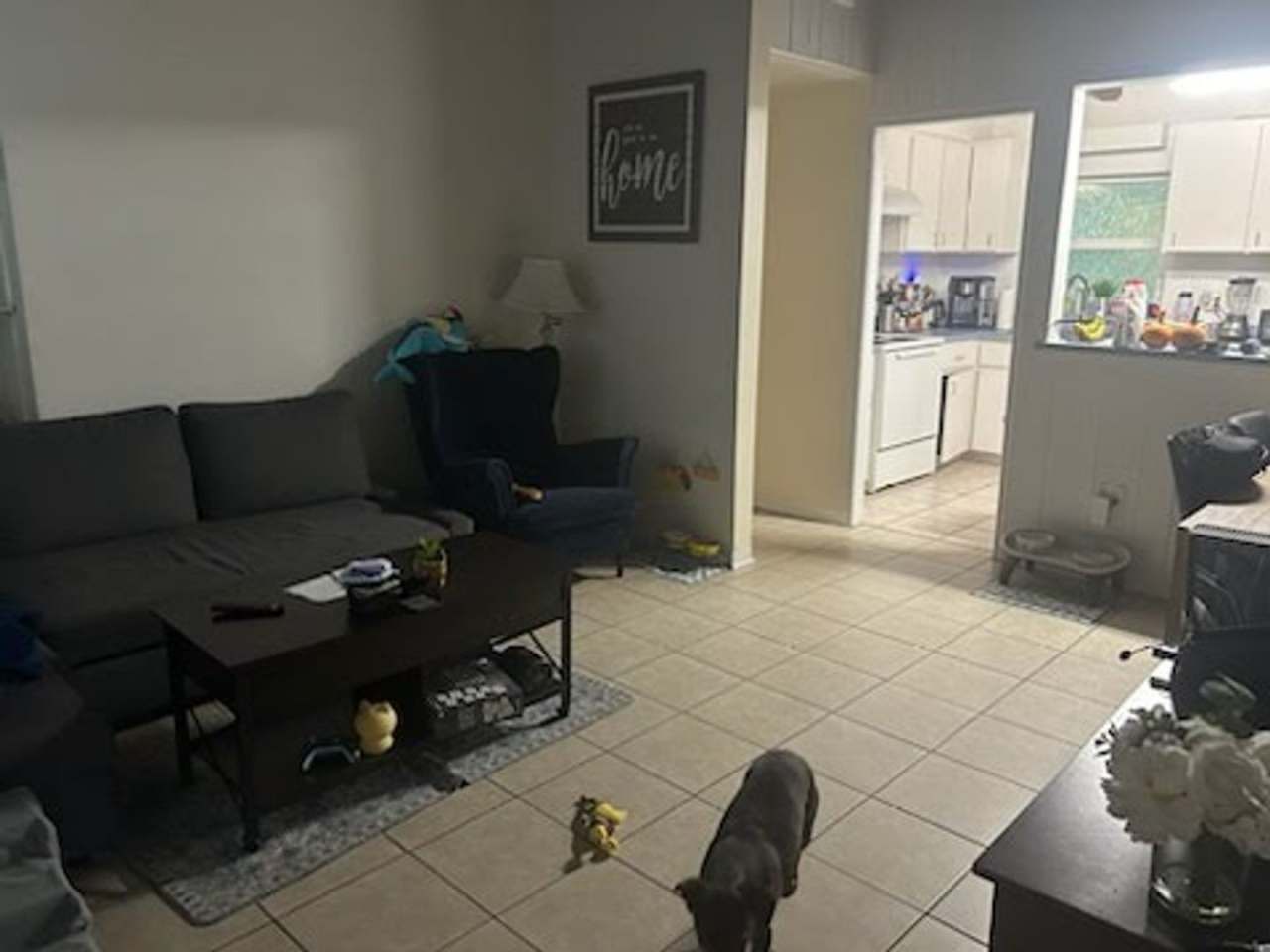 2 bed 1 bath house near UF law available Jan 1st