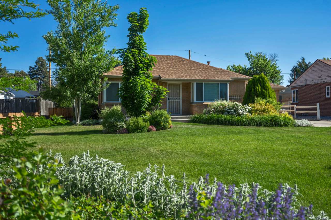 Amazing 4BR, 2BTH in Park Hill!!