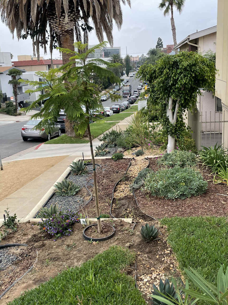 LUXURY LIVING AT AN AFFORDABLE PRICE