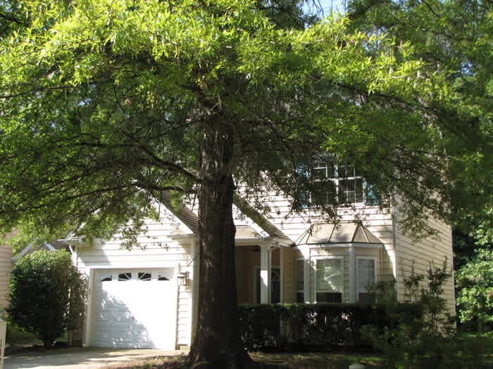 1424 Copper Creek Drive