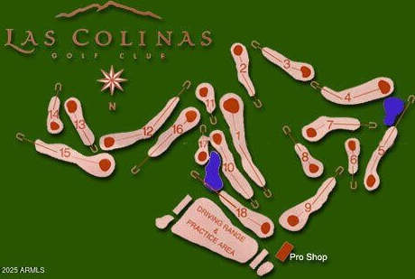 21331 E VIA DEL PALO --