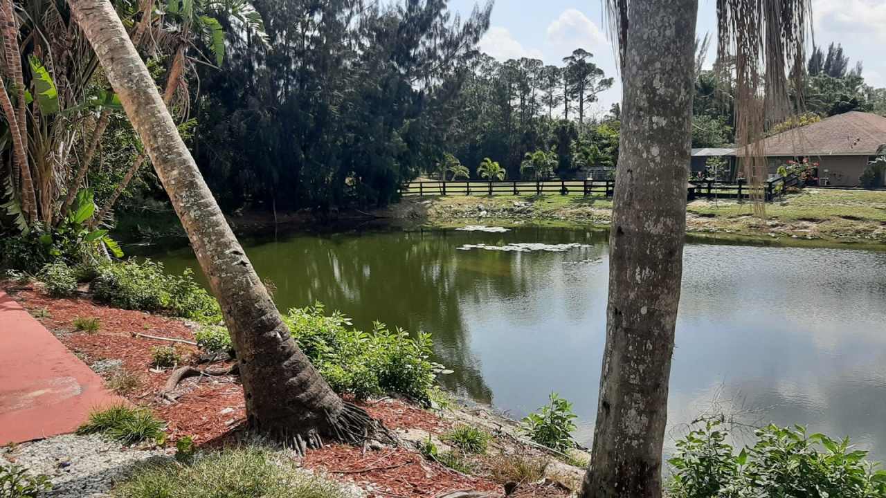 Spacious 2 acre property 4BR / 2 bath House in Loxahatchee Groves