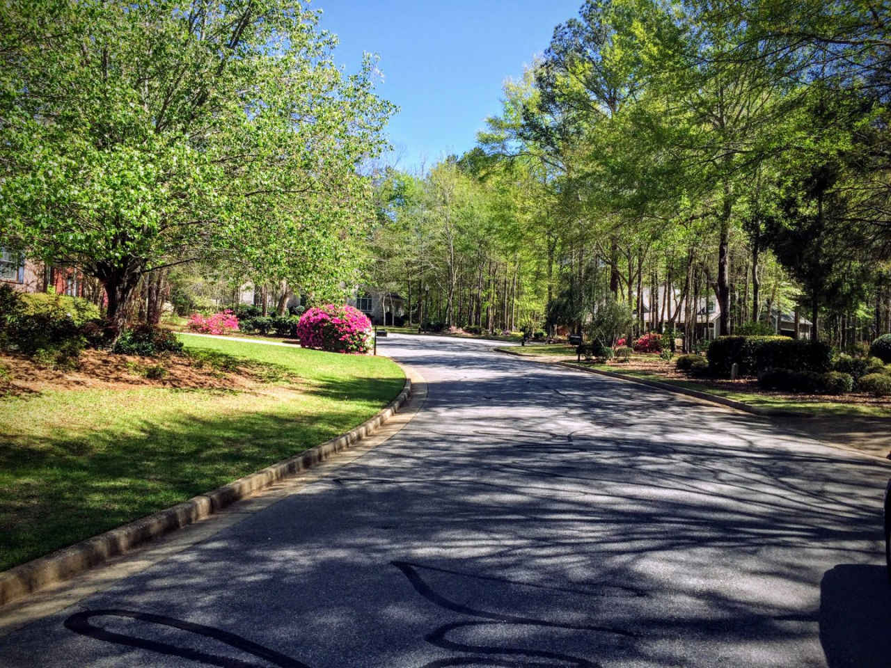 Beautiful Home in Asheton Park - SUBLEASE Feb. - July for $2800, Available for renewal at $2825