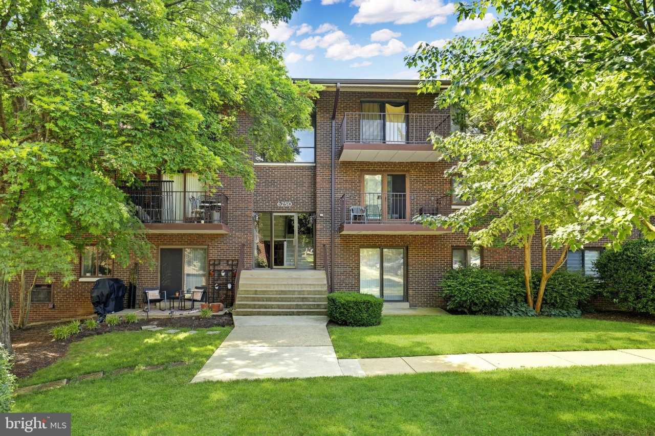 6250 EDSALL Road unit: 203