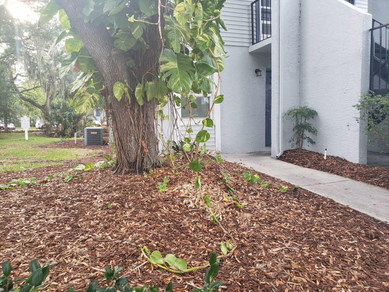 Nice 1 Bed/ 1 Bath in Gated Community with Lakes/Ponds!