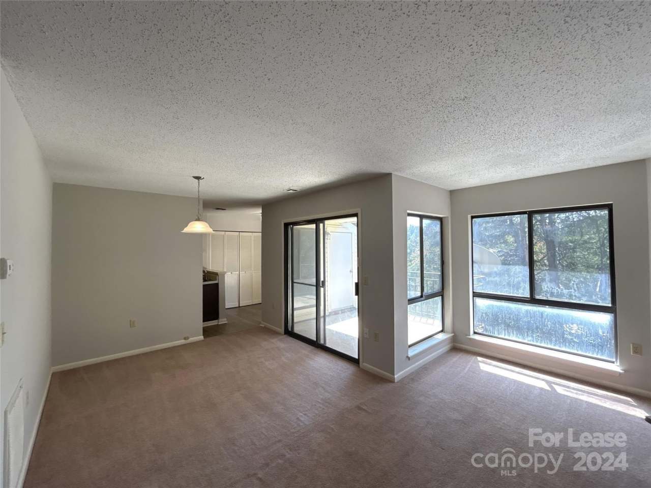 4804 Spring Lake Drive unit: E