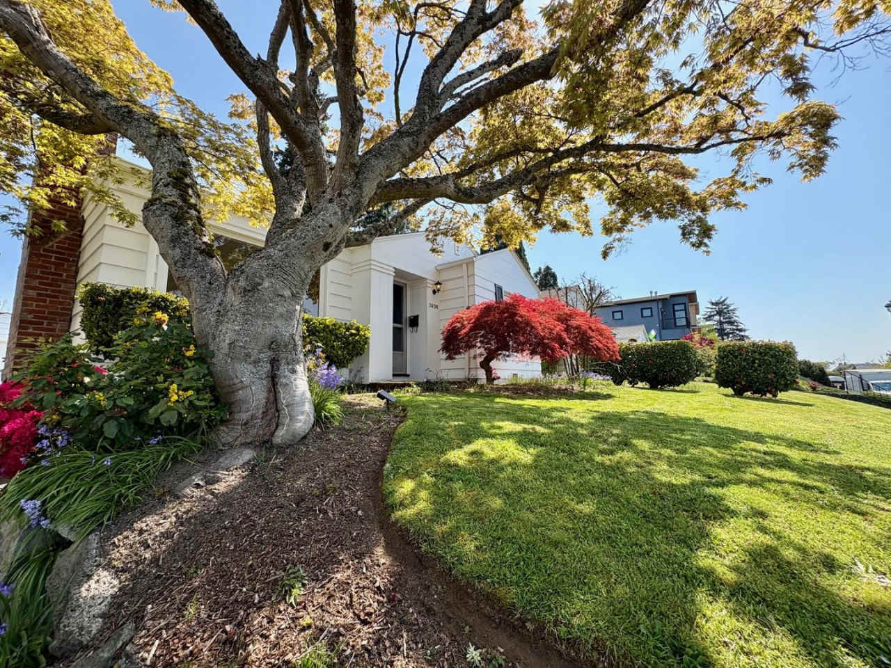 Magnolia Home