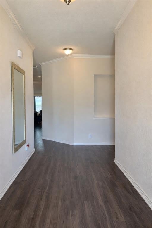 2517 Nolan Creek Street