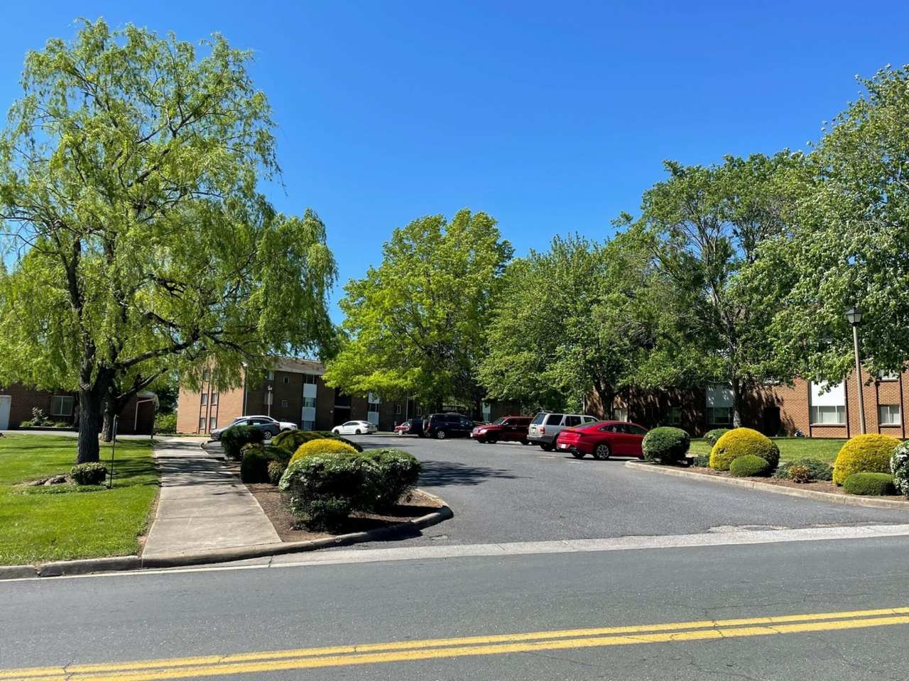 Lexington Springs Apartments