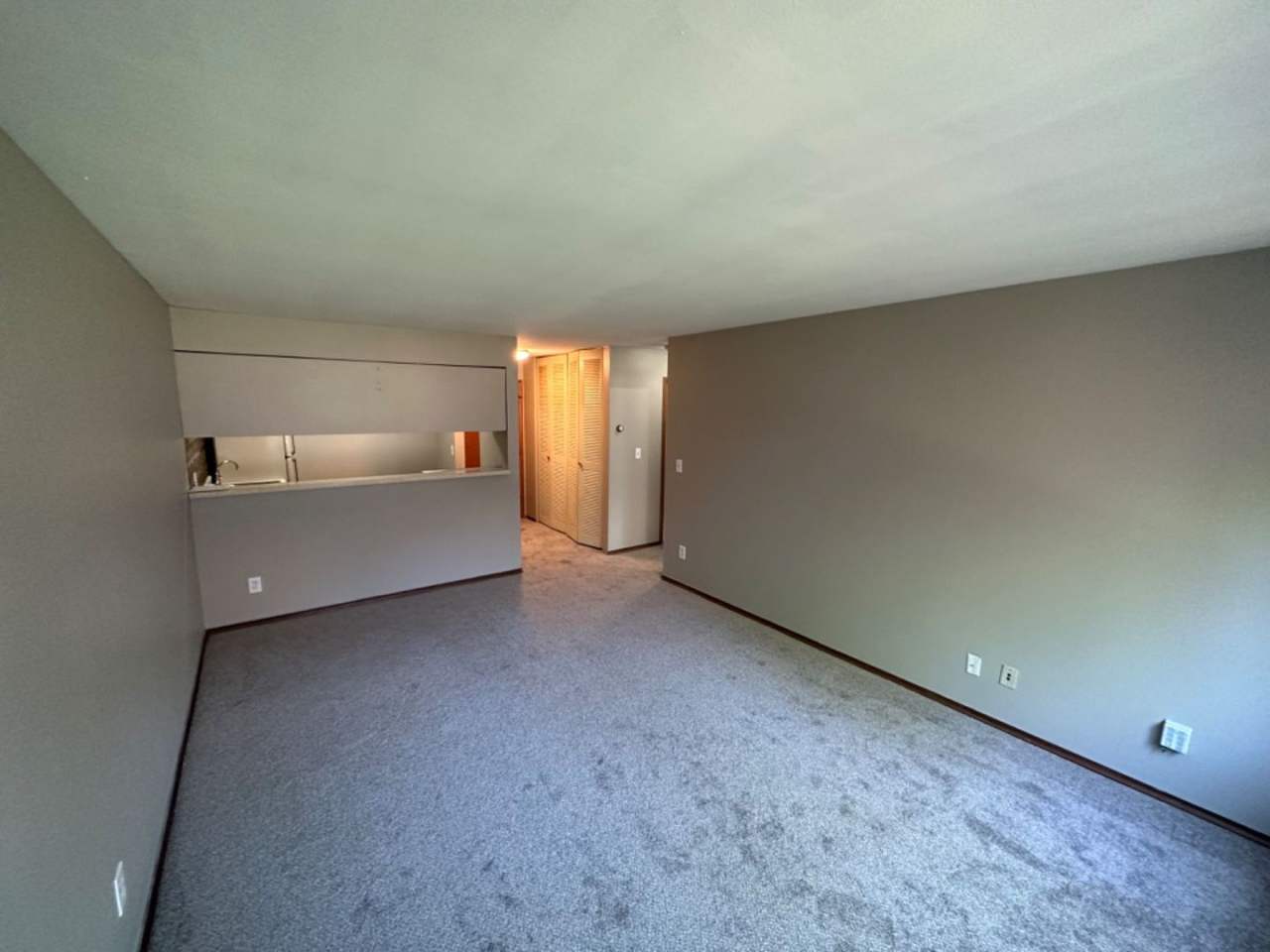 1 Bedroom Condo
