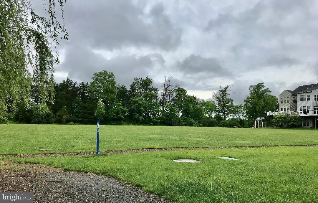 43359 POLENTA Terrace