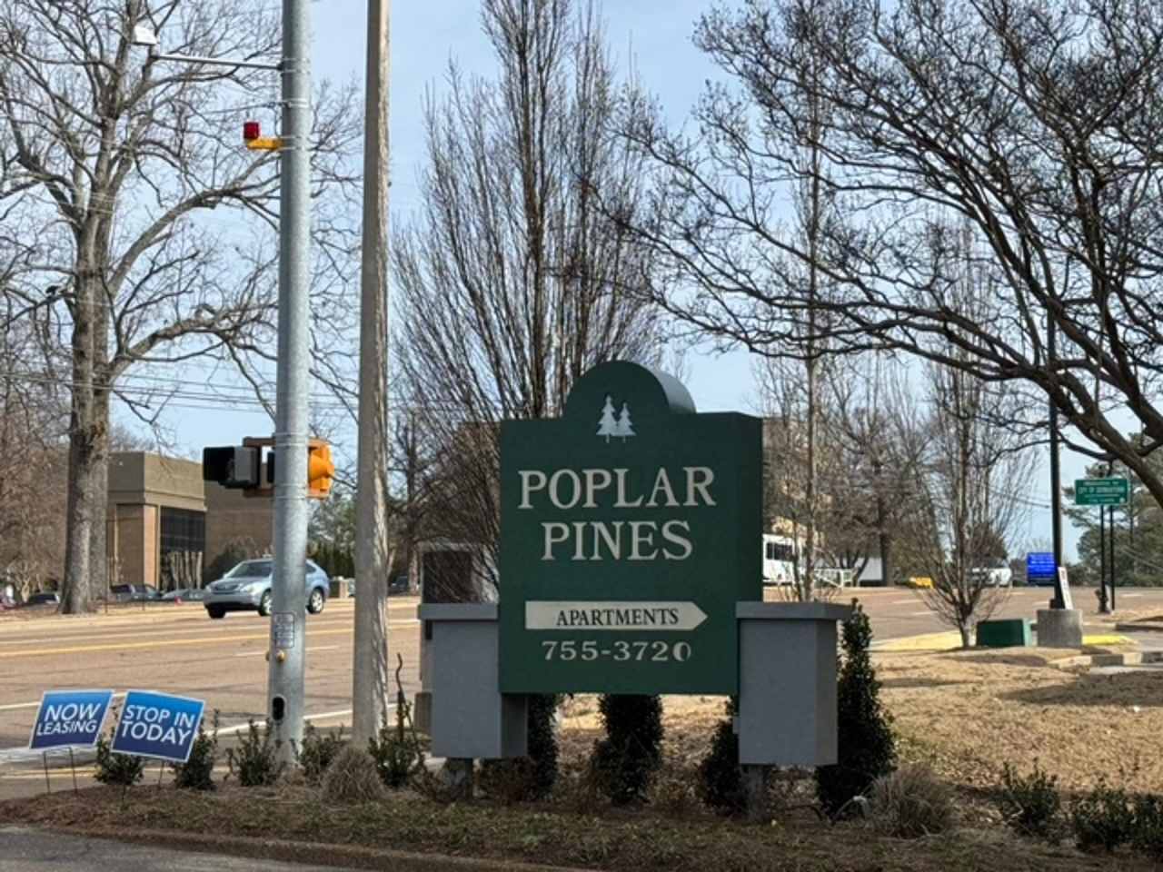 Poplar Pines