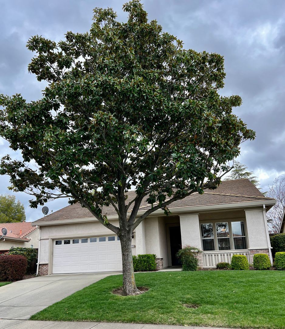 Active Adult Springfield @ Whitney Oaks