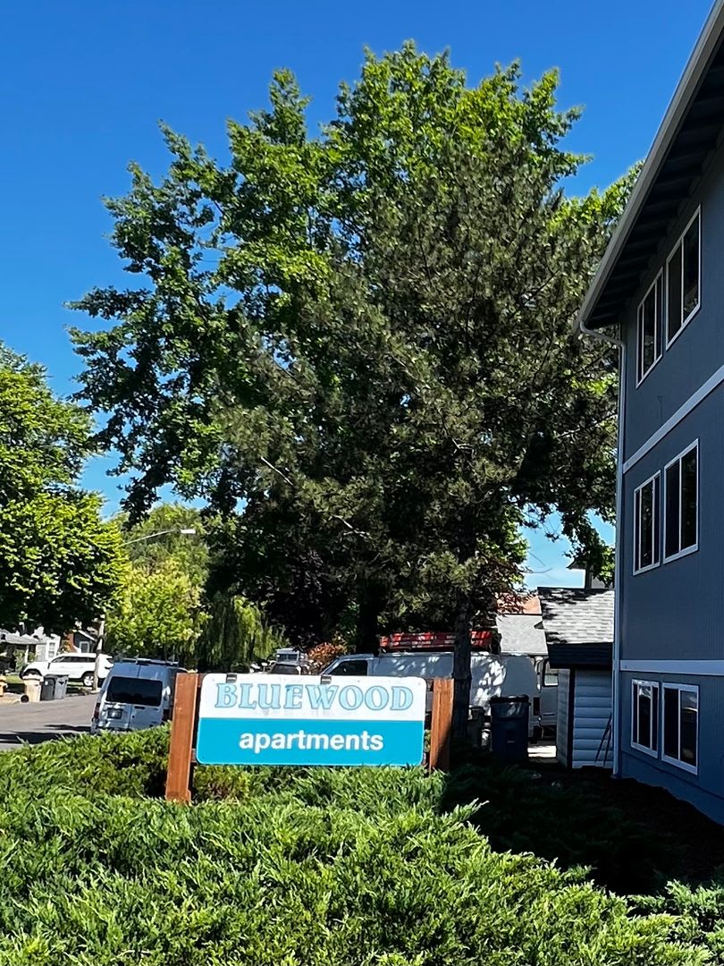 (907) Bluewood Apartments - 1 Bedroom / 1 Bath