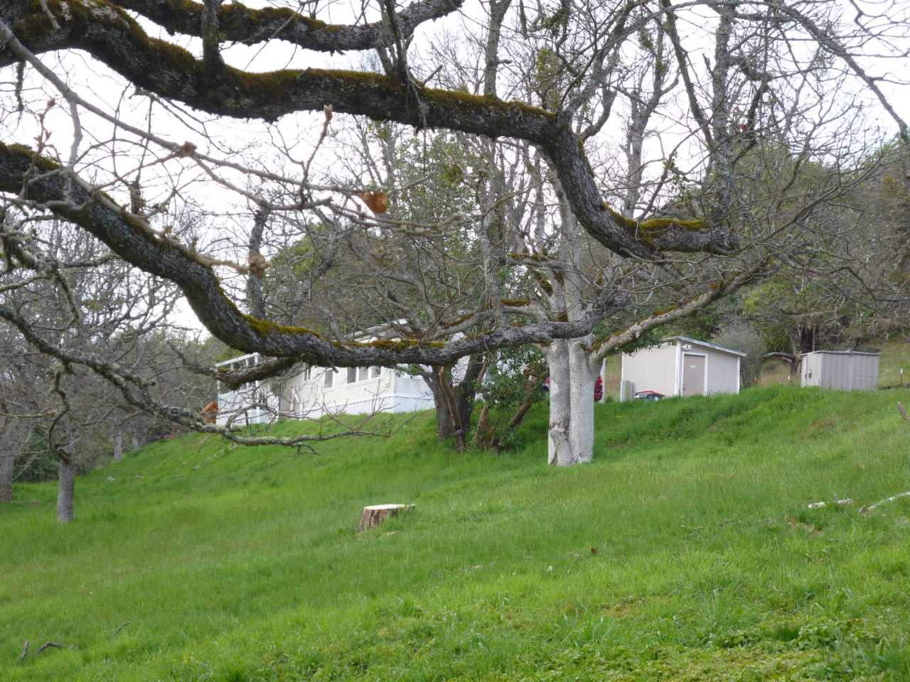 Peaceful Country Setting