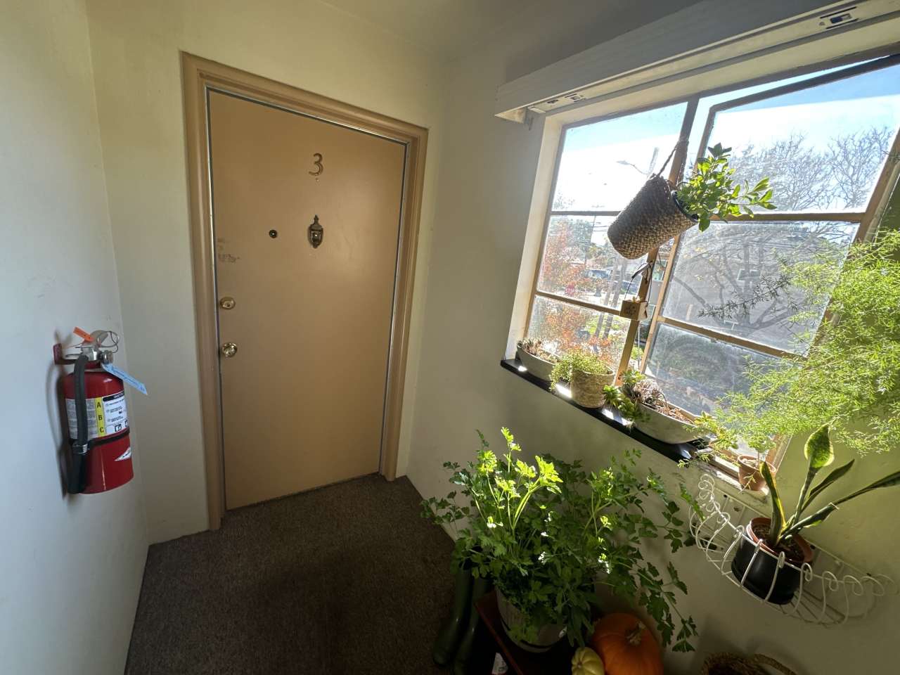 1732 Latham Street#3