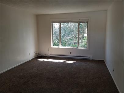 517 Tryon Avenue Northeast