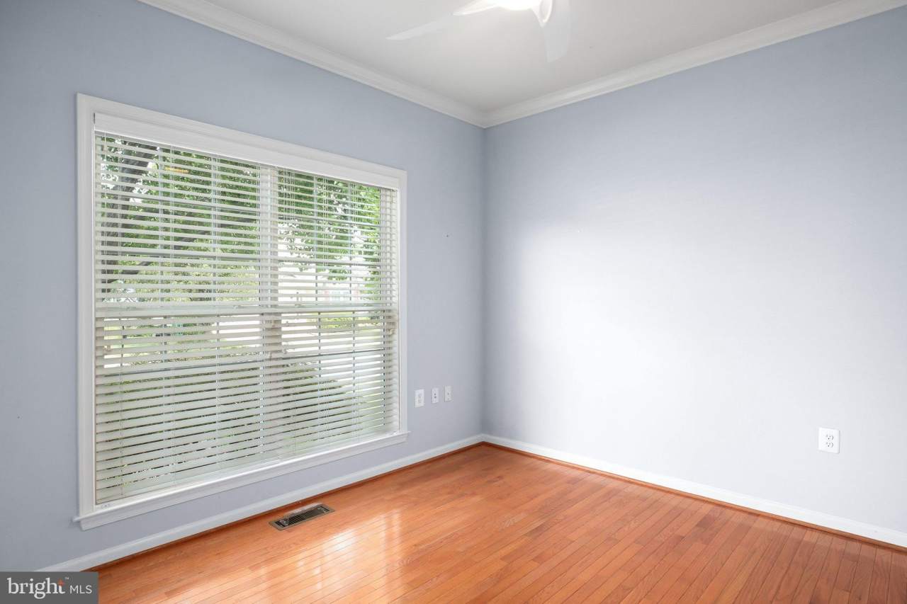 7 CARSON DRIVE