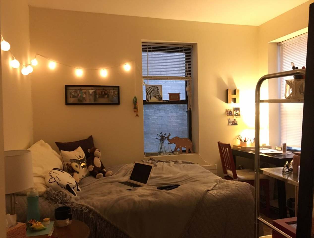 Nicely located affordable 3 bed near Kenmore Square for 9/1!