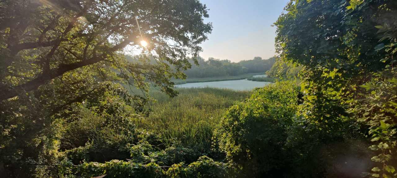 Section 8 Approved, Maple Grove, 6 bedroom, 3 Bath Single Family Home in Blaine, 2 Car Garage, Central Air