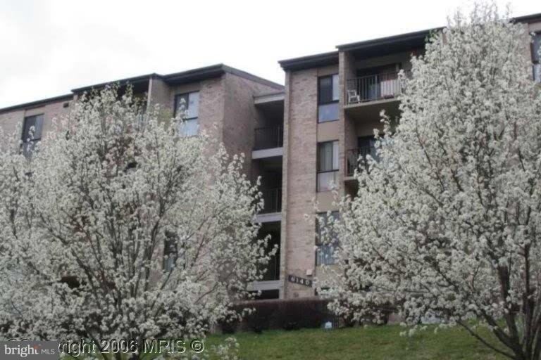 6145 EDSALL Road unit: 6145J