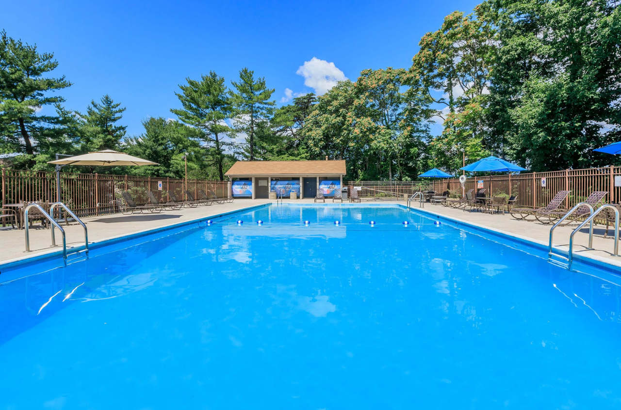 The Pines of Roanoke