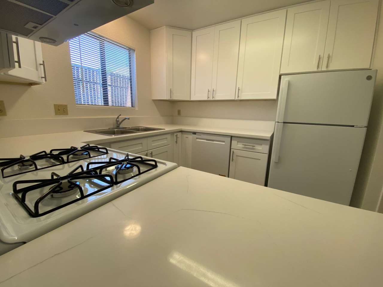 Garden Level Apartment - Completely Renovated!