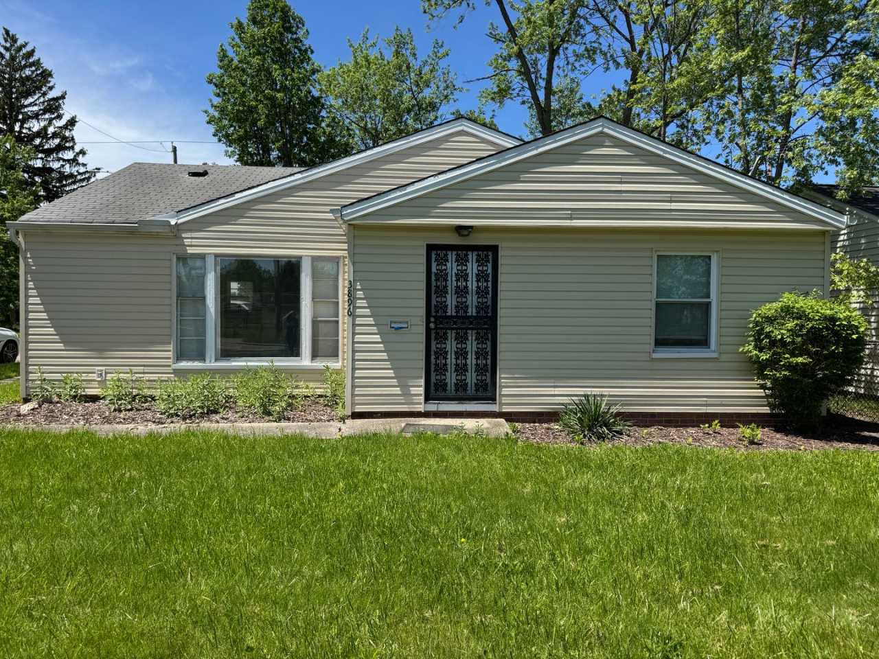 Natural Light  Beauty