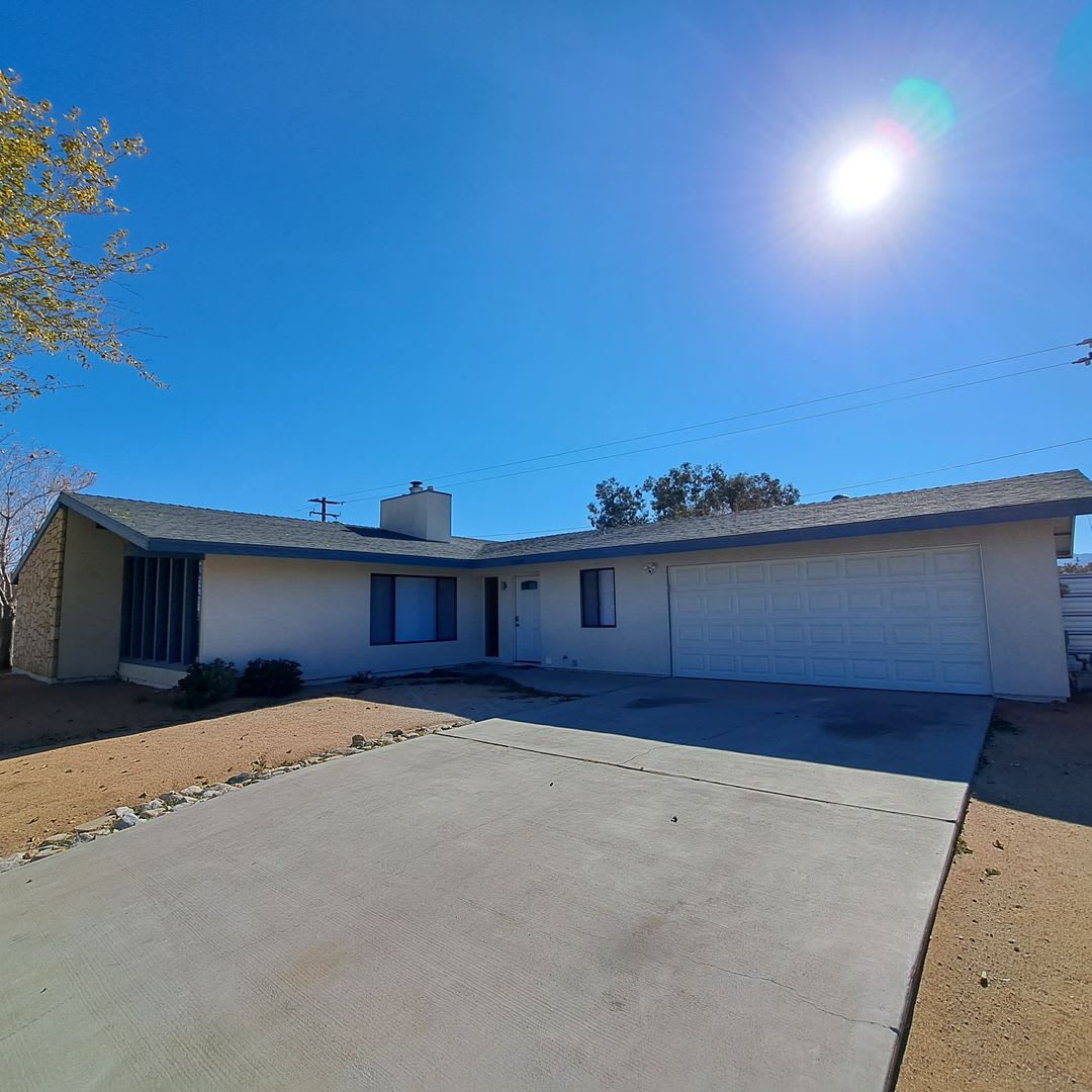Dog Washing Station and All Appliances Included!