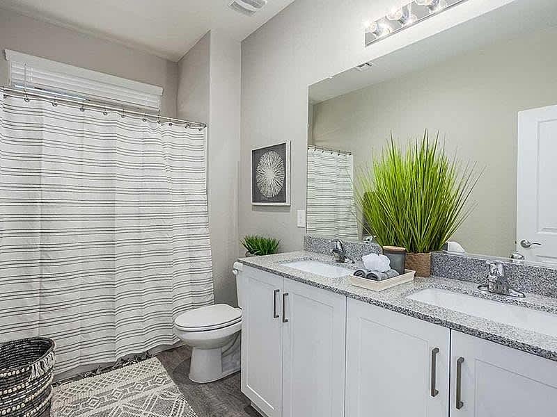 Luna Bear ARA Residences