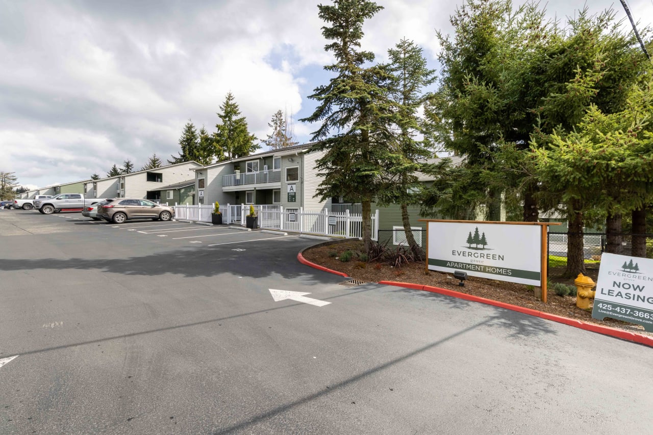 Evergreen Grove