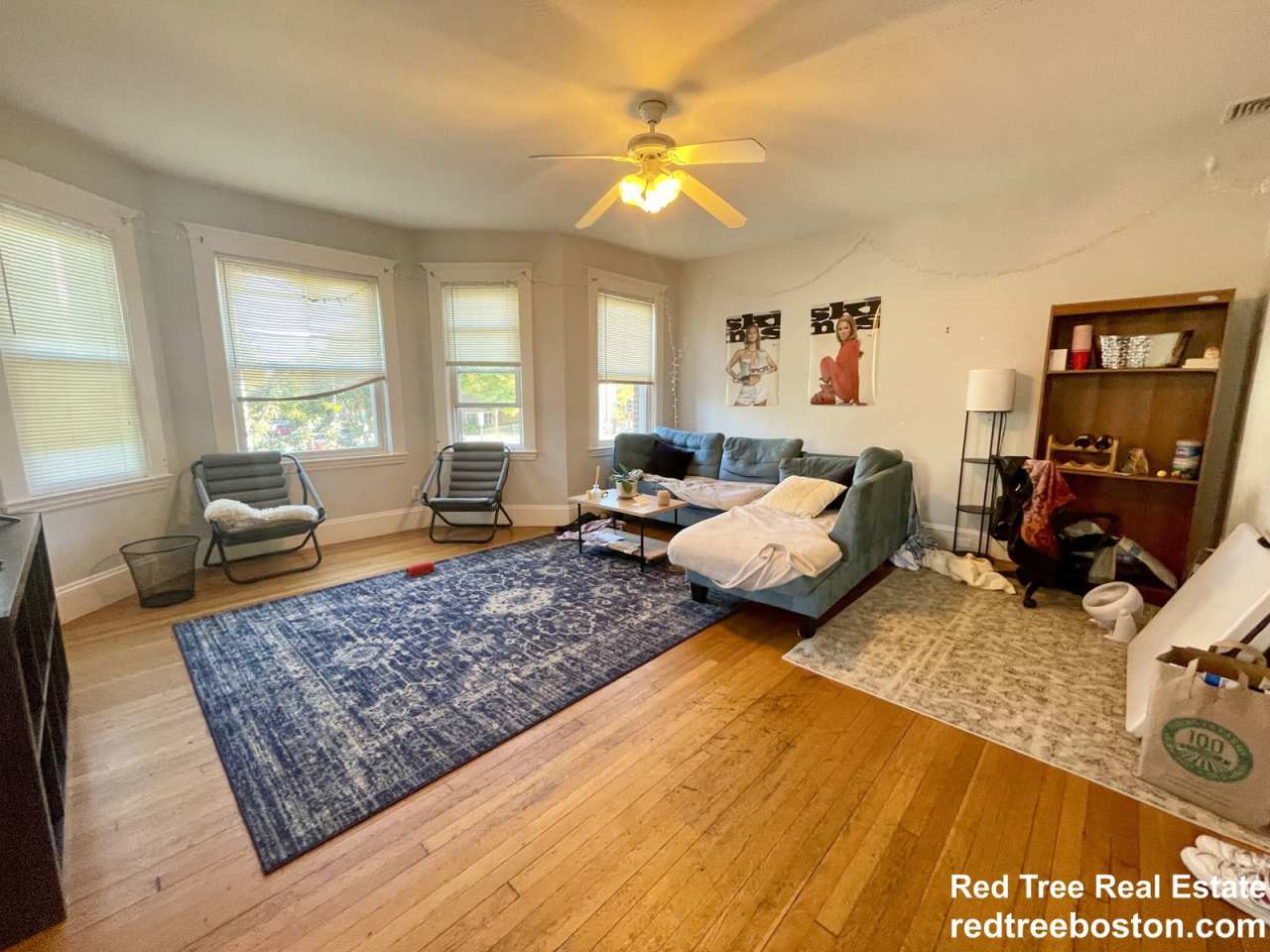 209 Chestnut Hill Avenue