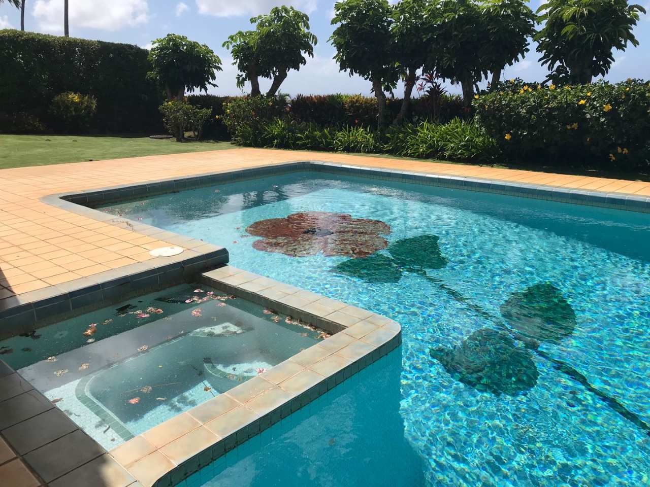 Waialae Iki, large family home 4 bedroom, 4 baths, 2 car garage