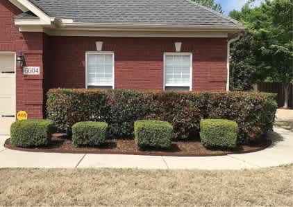 6604 Lizzie Lane Southeast