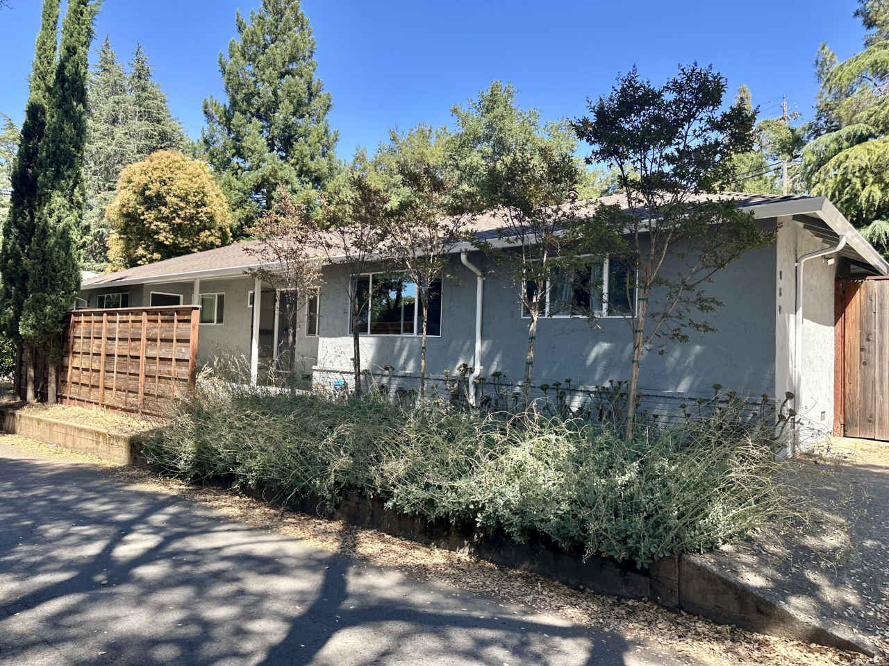 16 Terrace Court - 16