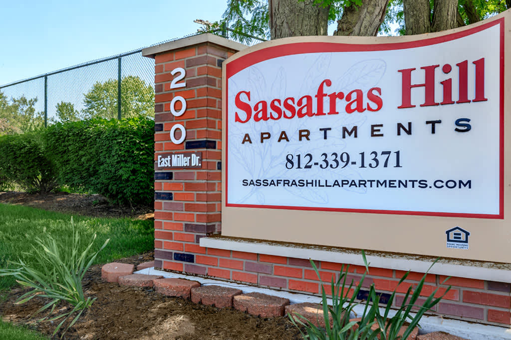 Sassafras Hill