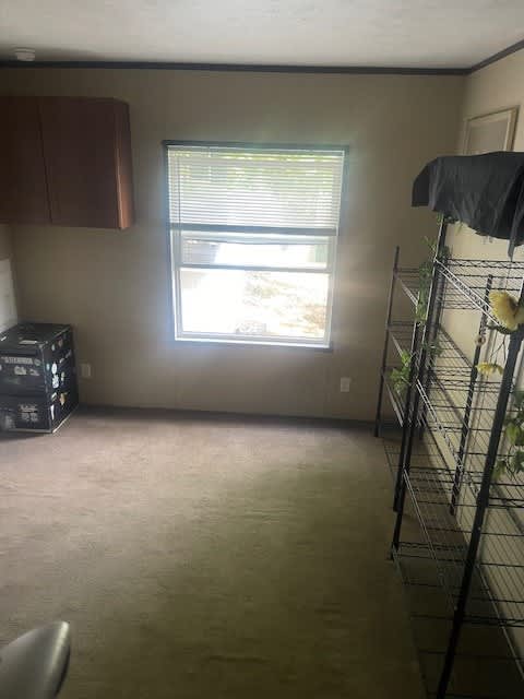 9930 Geraldine Street