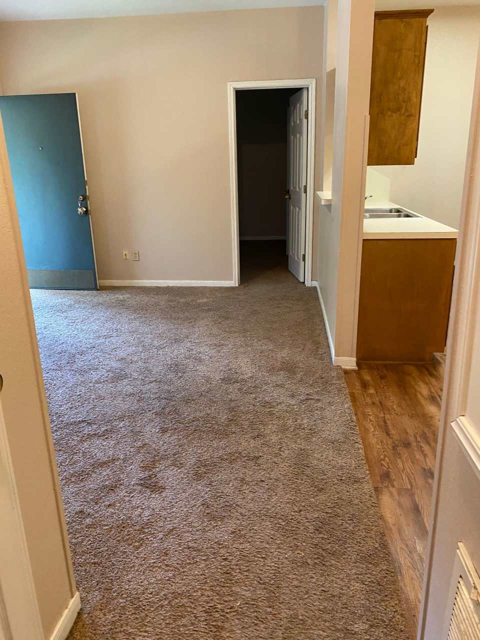 Monthly Paid Rent
