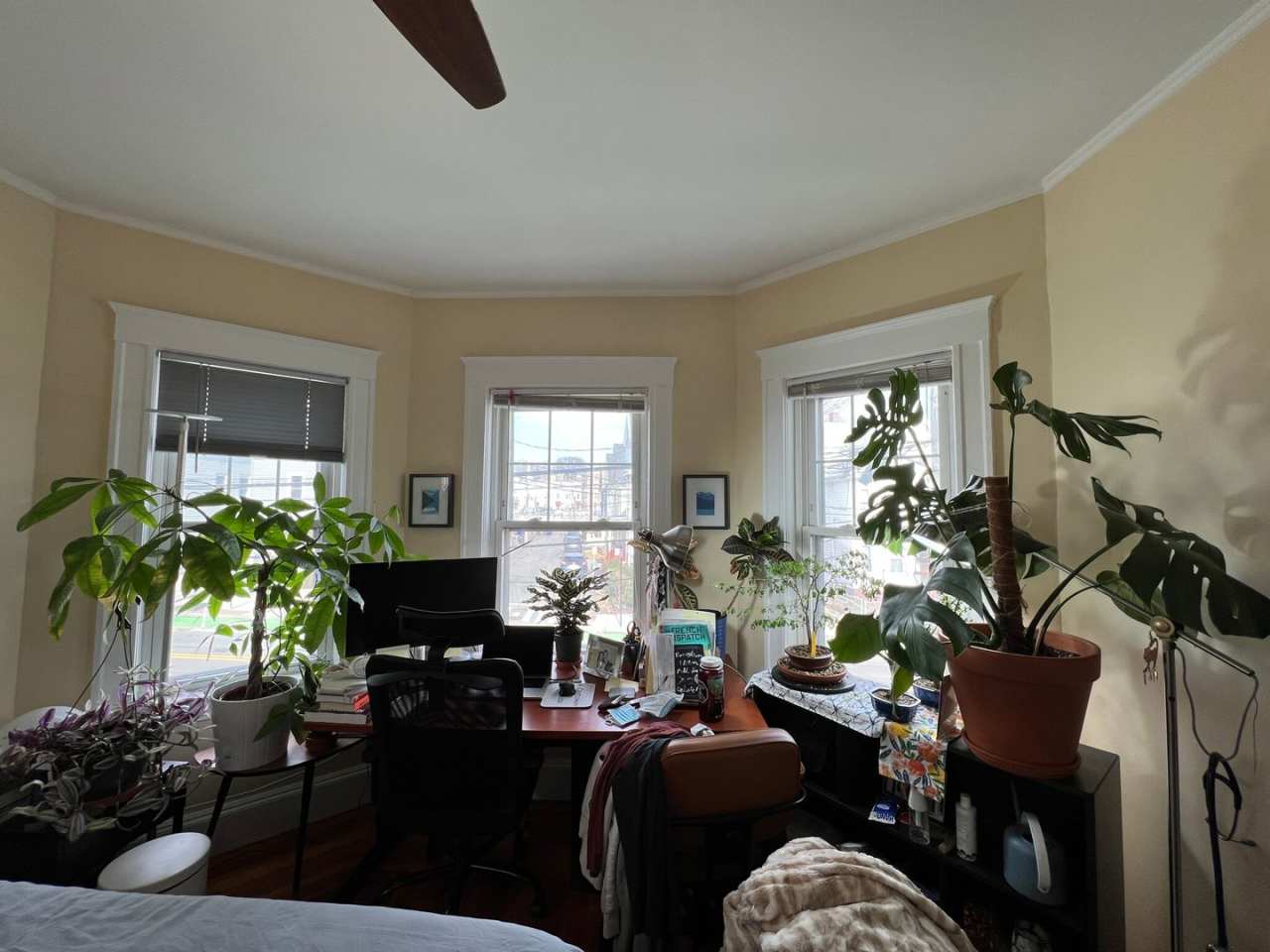 HOT SOMERVILLE LISTING!!!!!